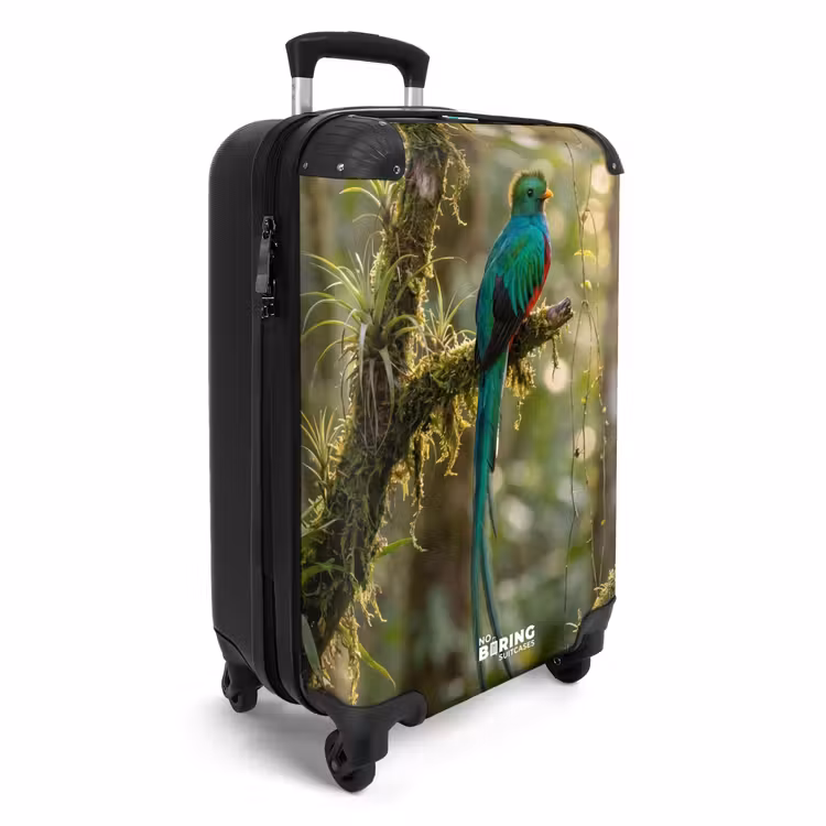 Koffer - Quetzal – Dschungel – Natur – Grün — 2