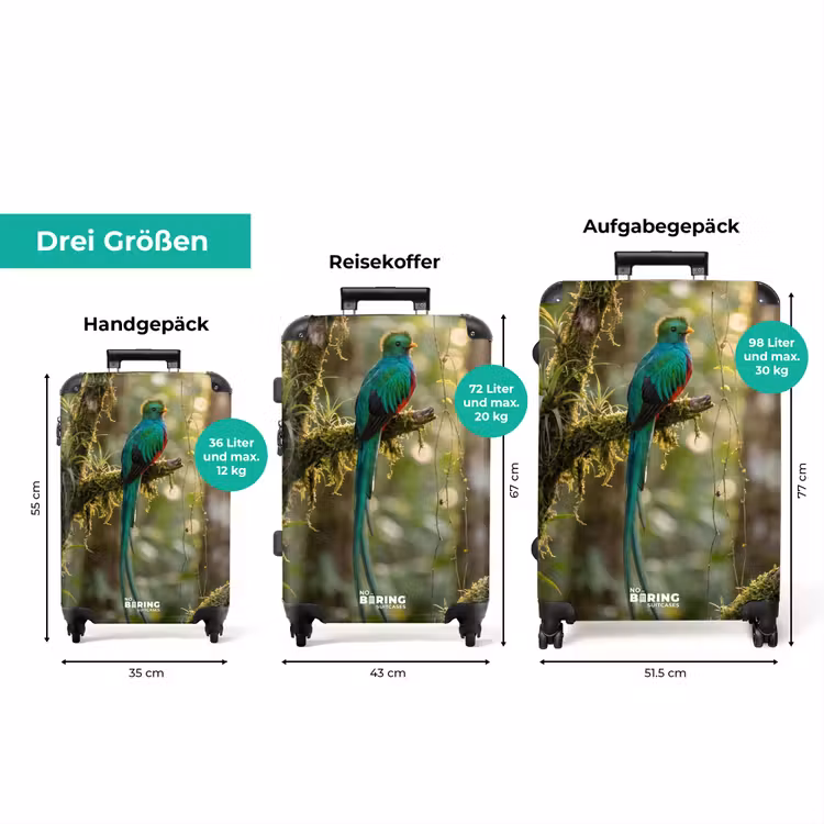 Koffer - Quetzal – Dschungel – Natur – Grün — 3