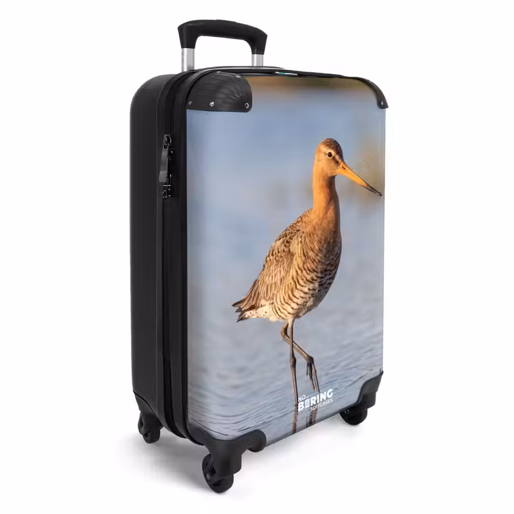 Koffer - Vogel – Watvogel – Wasser – Natur — 2
