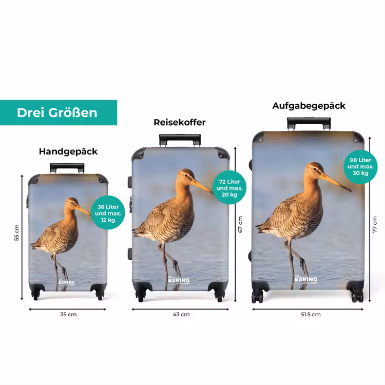 Koffer - Vogel – Watvogel – Wasser – Natur — 3