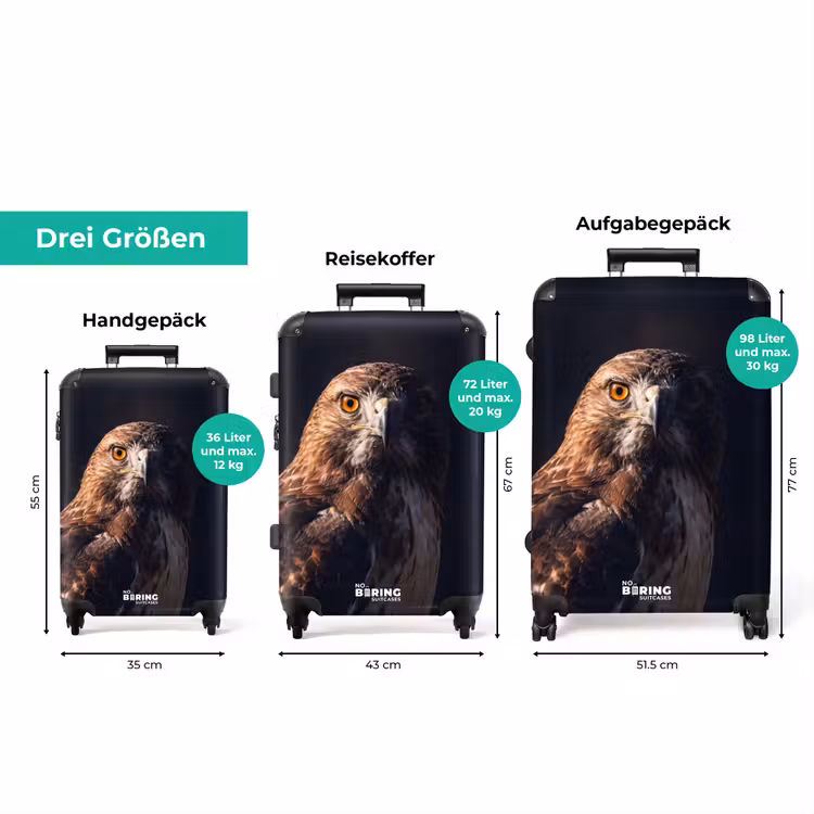 Koffer - Greifvogel – Bussard – Braun — 3