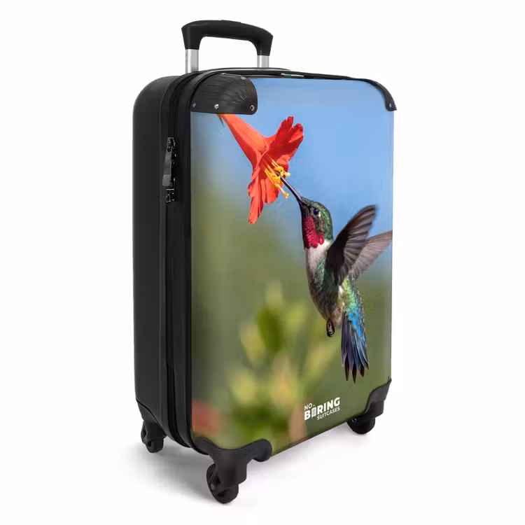 Koffer - Kolibri – Blume – Natur – Grün — 2