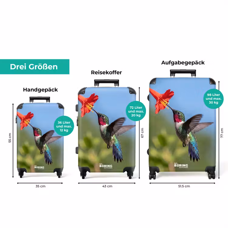 Koffer - Kolibri – Blume – Natur – Grün — 3