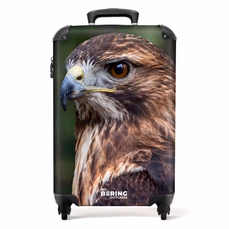 Koffer - Mäusebussard – Raubvogel – Natur – Braun — 1