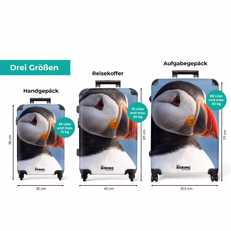 Koffer - Papageientaucher – Porträt – Natur — 3
