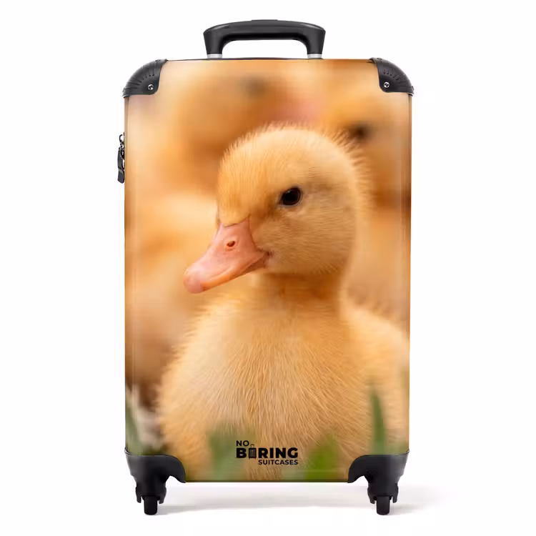 Koffer - Pfeil – Ente – Natur – Gelb — 1