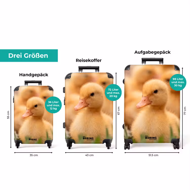 Koffer - Pfeil – Ente – Natur – Gelb — 3