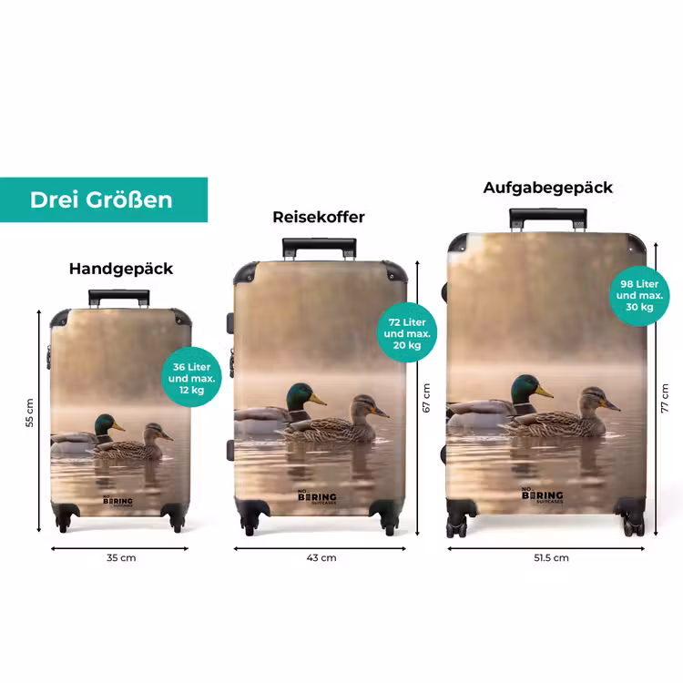 Koffer - Enten – Wasser – Nebel – Natur — 3