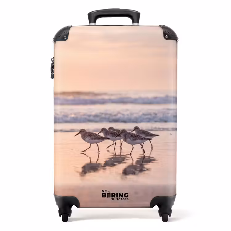 Koffer - Meer – Vögel – Strand — 1