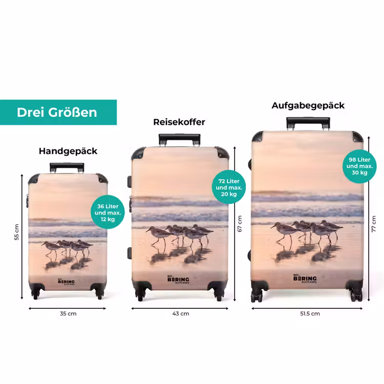 Koffer - Meer – Vögel – Strand — 3