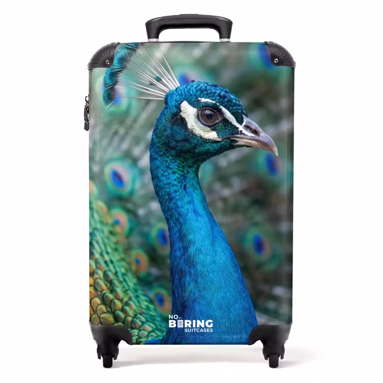 Koffer - Pfau – Federn – Blau — 1