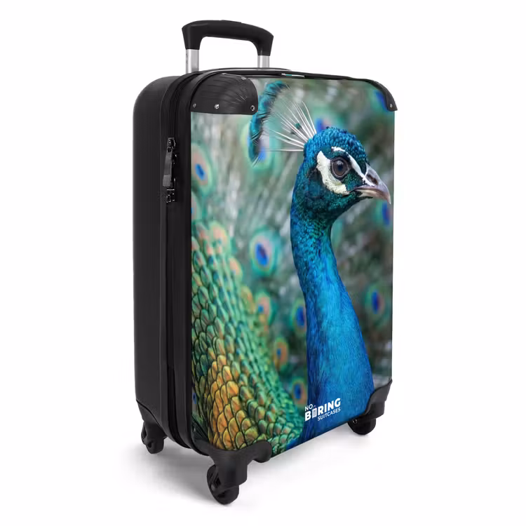 Koffer - Pfau – Federn – Blau — 2