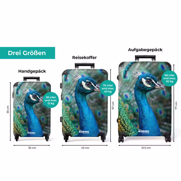 Koffer - Pfau – Federn – Blau — 3