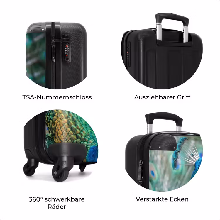 Koffer - Pfau – Federn – Blau — 8