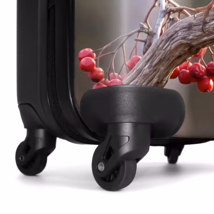 Koffer - Rotkehlchen – Ast – Beeren – Natur — 7