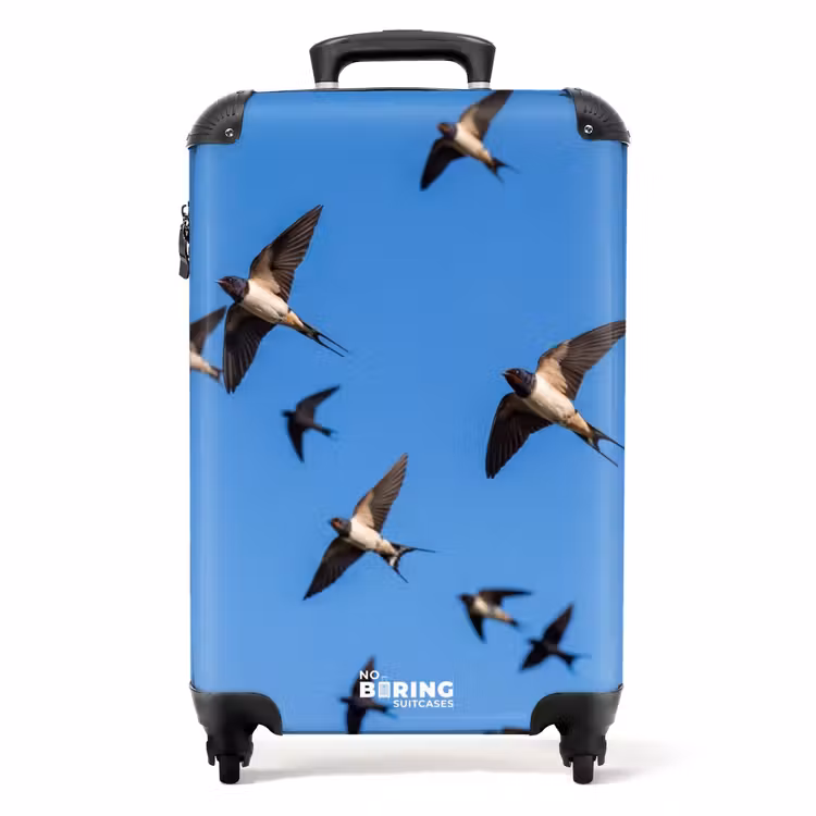 Koffer - Schwalben – Fliegen – Blau — 1