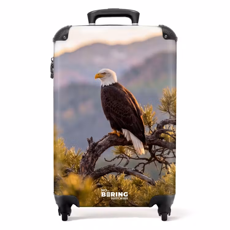 Koffer - Seeadler – Baum – Berge – Grün — 1