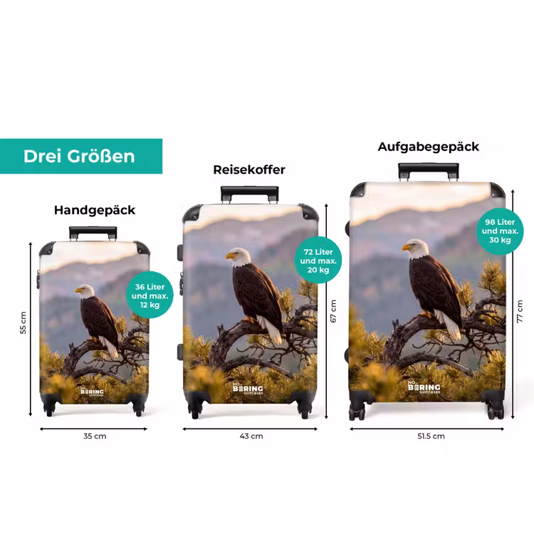 Koffer - Seeadler – Baum – Berge – Grün — 3
