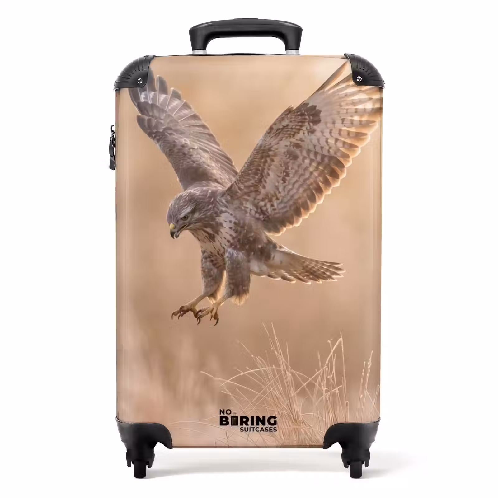 Koffer - Mäusebussard – Raubvogel – Natur – Braun — 1