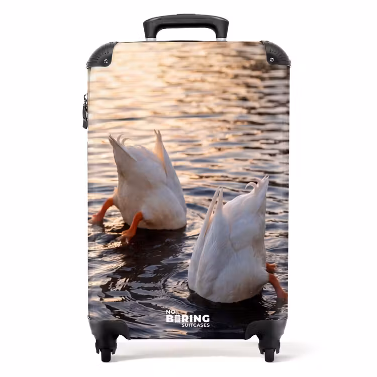 Koffer - Enten – Wasser – Natur — 1