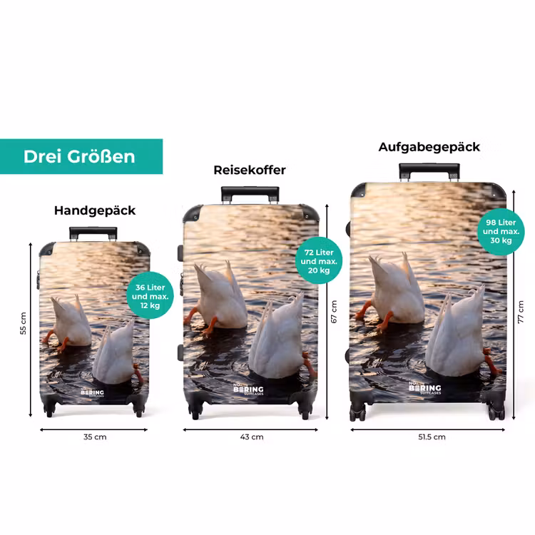Koffer - Enten – Wasser – Natur — 3