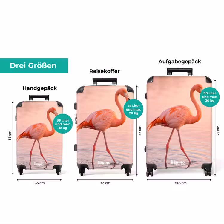 Koffer - Flamingo – Wasser – Rosa — 3