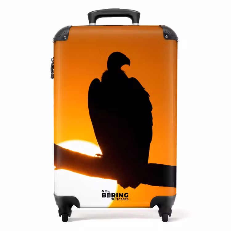 Koffer - Gier – Tak – Sonne – Orange — 1