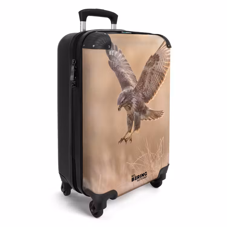 Koffer - Mäusebussard – Raubvogel – Natur – Braun — 2
