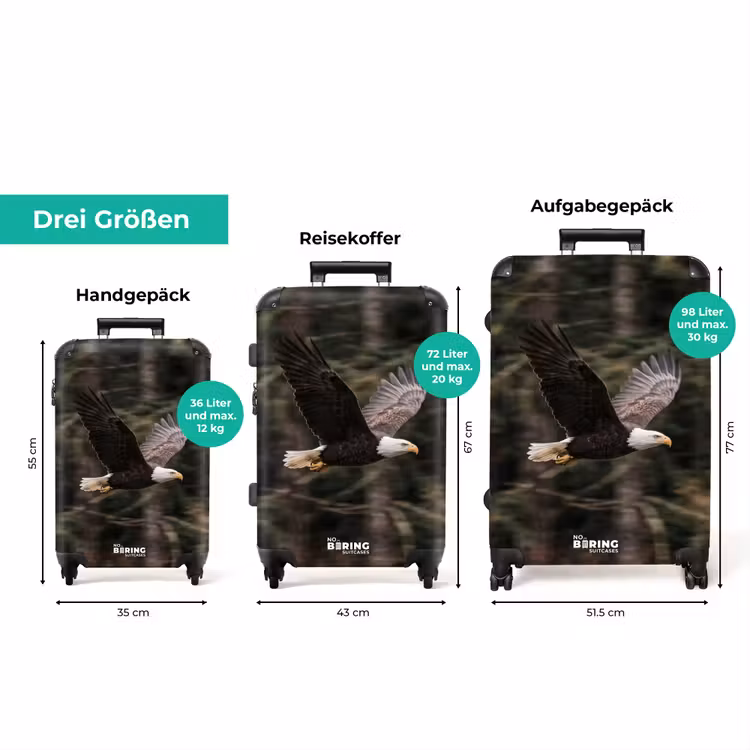 Koffer - Seeadler – Fliegen – Wald – Natur — 3