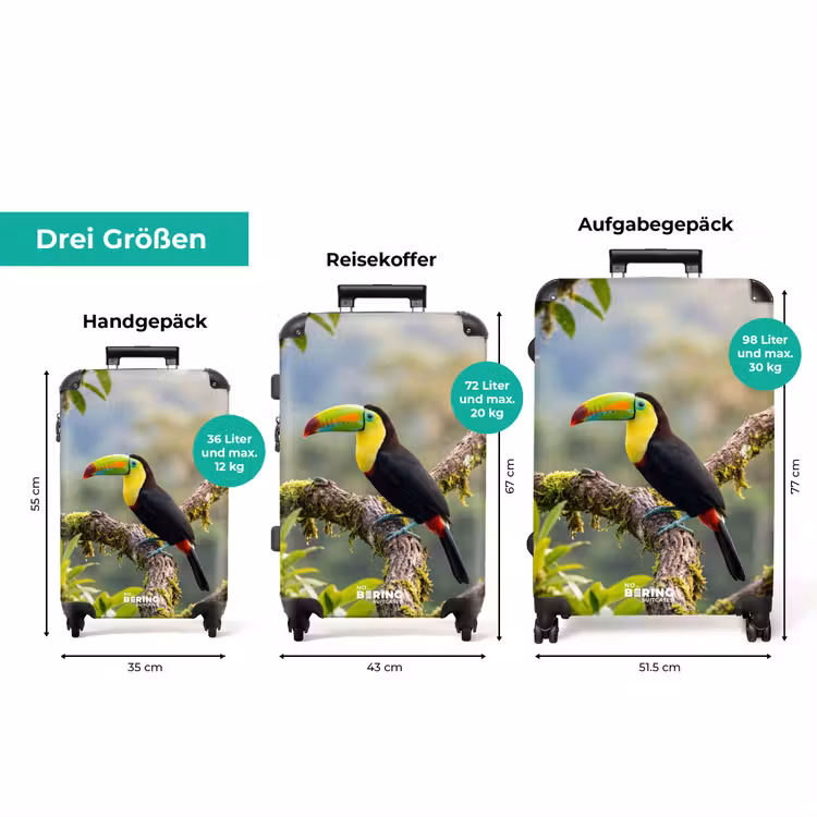 Koffer - Tukan – Dschungel – Natur – Bunt — 3