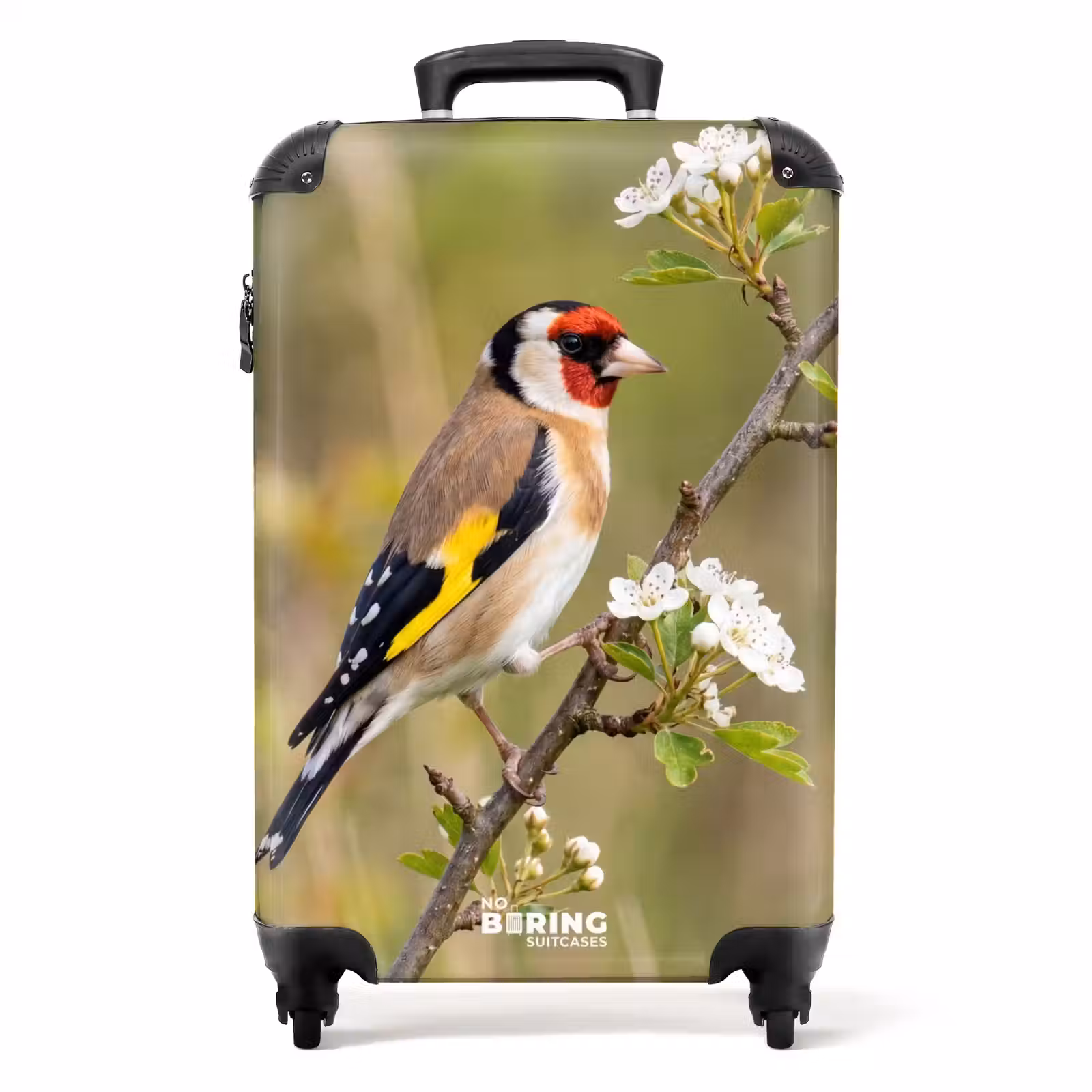 Koffer - Putter – Blüten – Frühling – Natur – Farbenfroh — 1