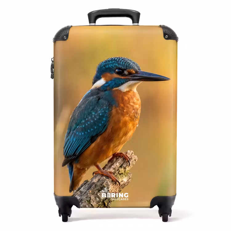 Koffer - Eisvogel – Ast – Wasser – Bunt – Lebhaft — 1