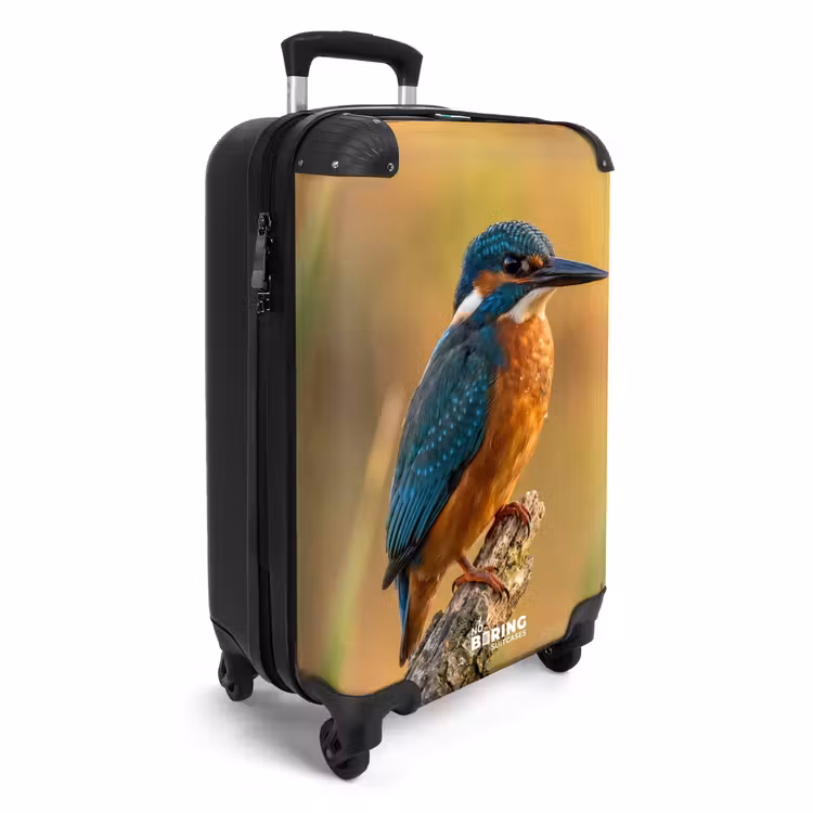 Koffer - Eisvogel – Ast – Wasser – Bunt – Lebhaft — 2