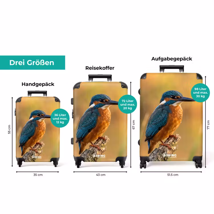 Koffer - Eisvogel – Ast – Wasser – Bunt – Lebhaft — 3
