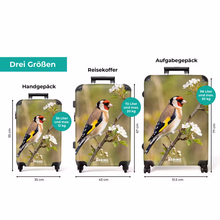 Koffer - Putter – Blüten – Frühling – Natur – Farbenfroh — 3