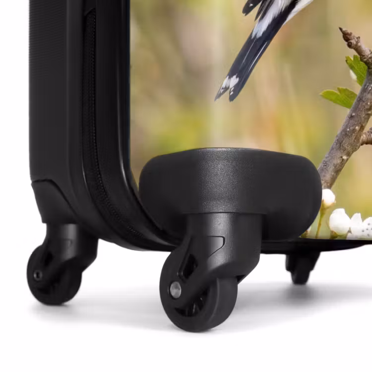 Koffer - Putter – Blüten – Frühling – Natur – Farbenfroh — 7