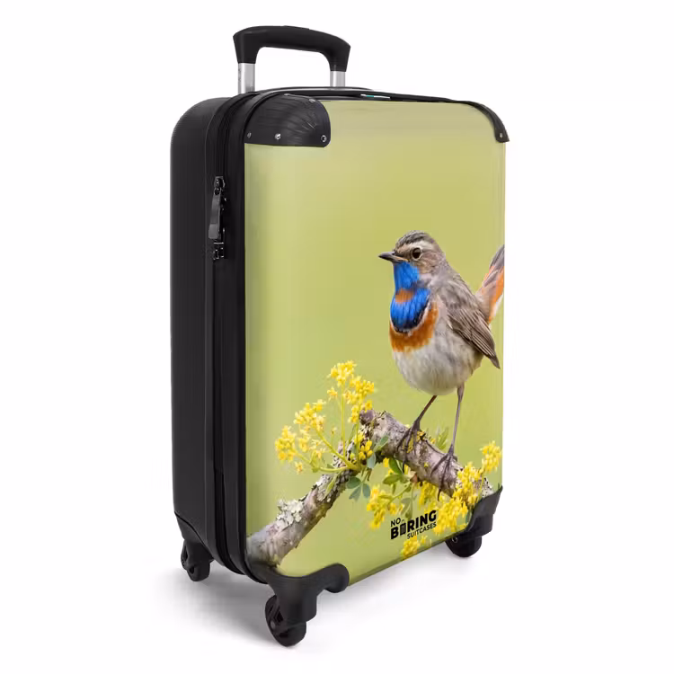 Koffer - Vogel – Ast – Natur – Bunt — 2