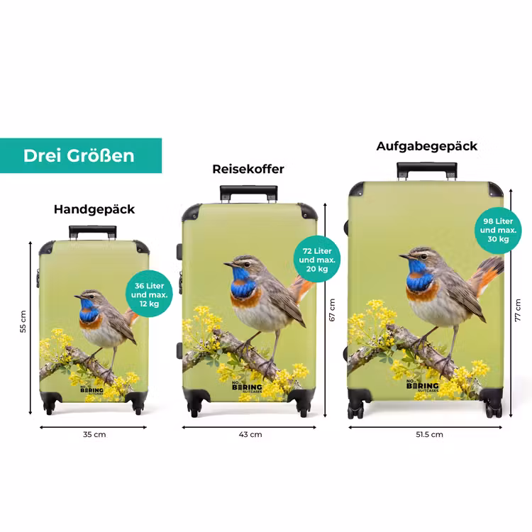Koffer - Vogel – Ast – Natur – Bunt — 3