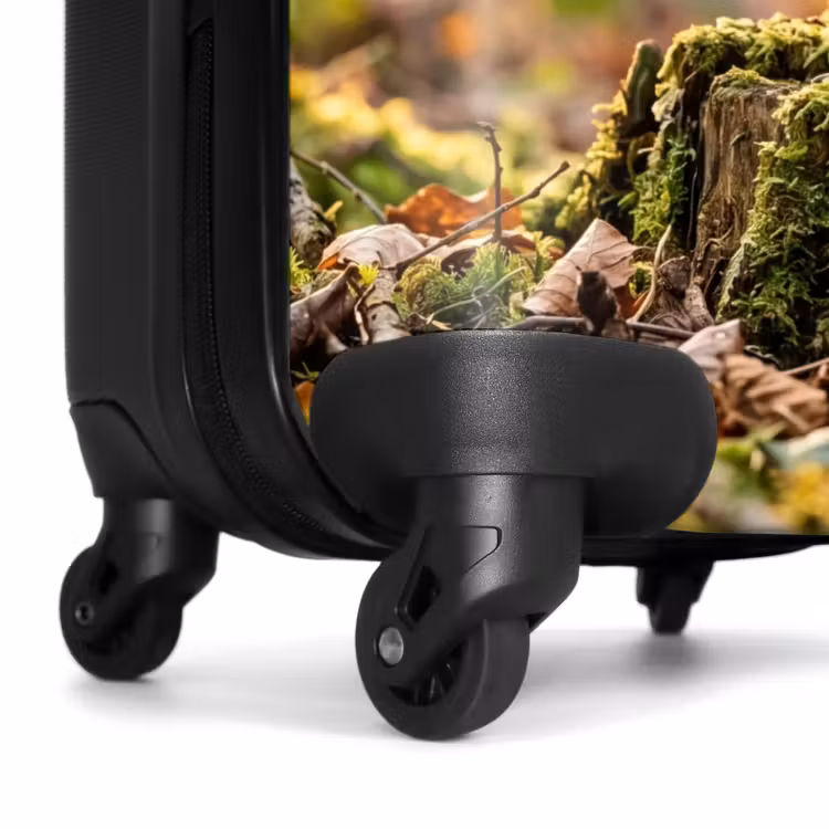 Koffer - Waldschnepfe – Wald – Blätter – Herbst – getarnt — 7