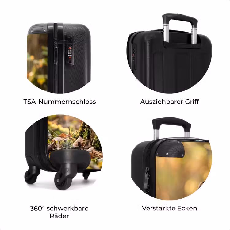 Koffer - Waldschnepfe – Wald – Blätter – Herbst – getarnt — 8