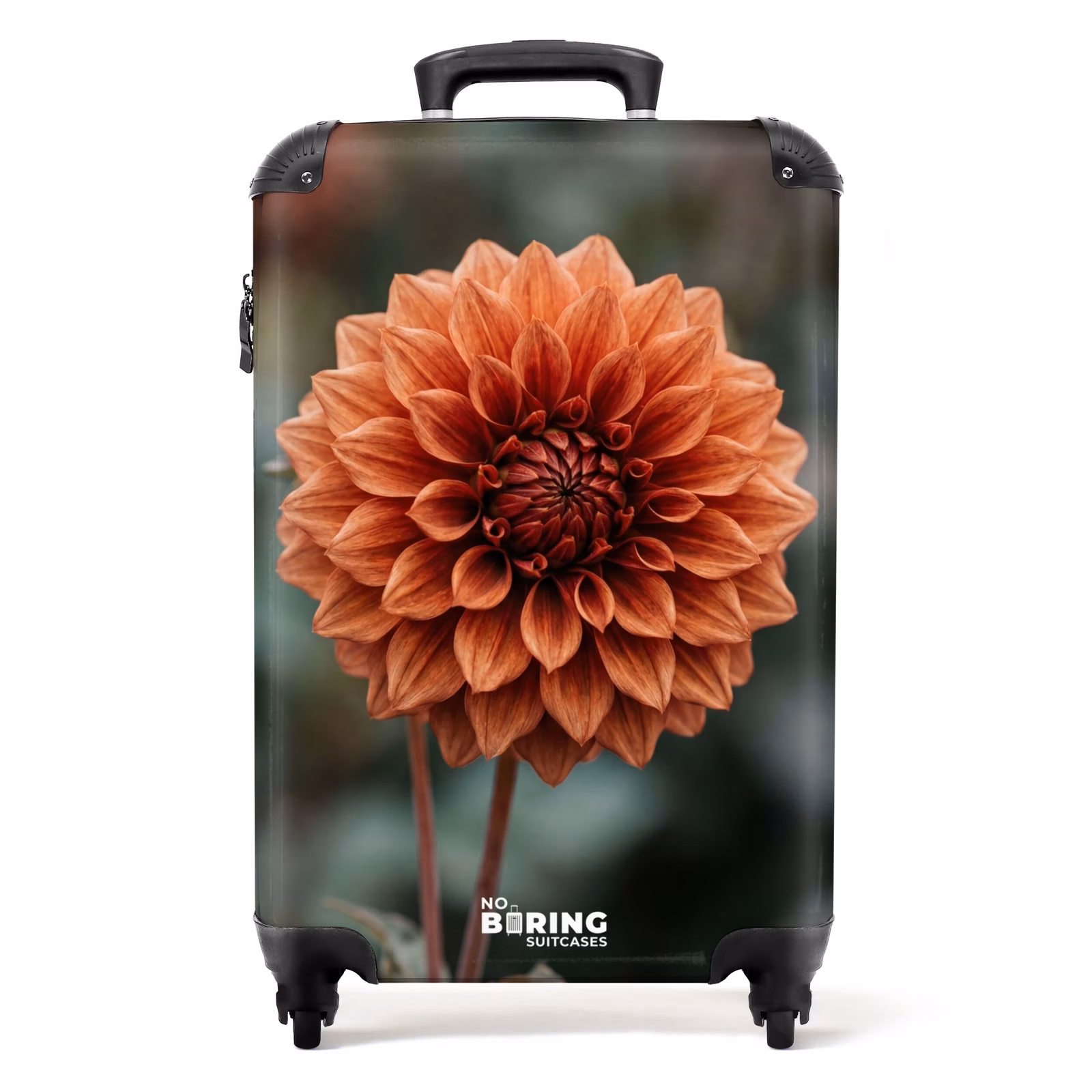 Koffer - Dahlia – Blume – Natur – Stimmungsvoll — 1