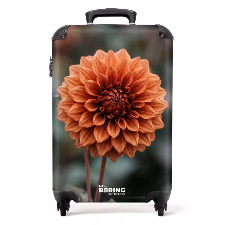 Koffer - Dahlia – Blume – Natur – Stimmungsvoll — 1