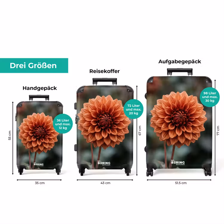 Koffer - Dahlia – Blume – Natur – Stimmungsvoll — 3