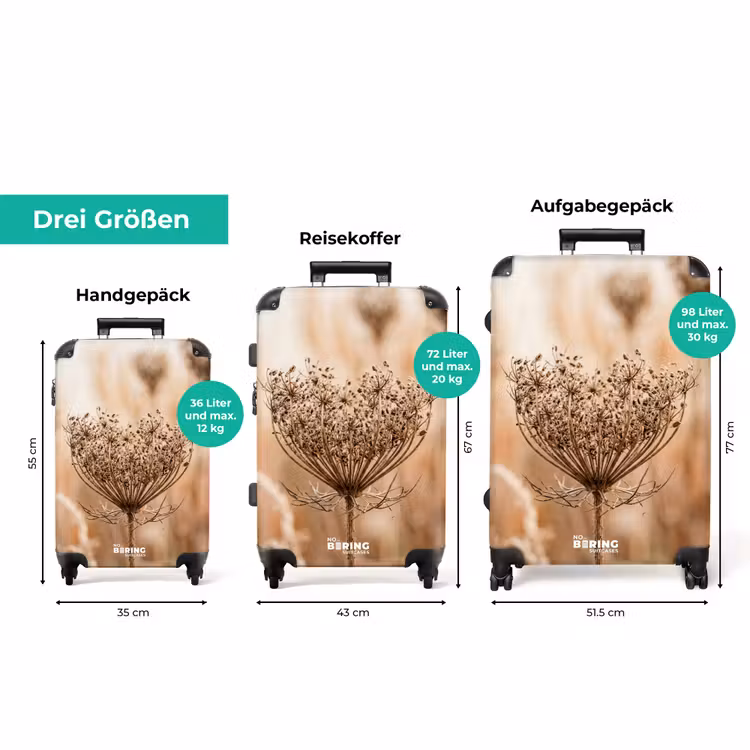 Koffer - Bildschirmblume – Trockenblume – Winter – Beige – Minimalistisch — 3