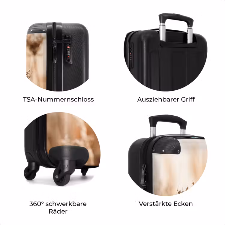 Koffer - Bildschirmblume – Trockenblume – Winter – Beige – Minimalistisch — 8