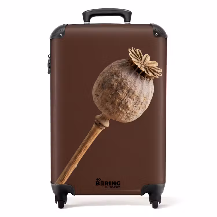 Koffer - Mohnblume – Trockenblume – Braun – Minimalistisch — 1