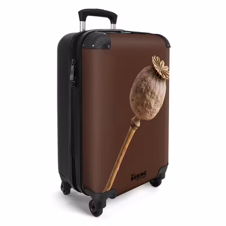Koffer - Mohnblume – Trockenblume – Braun – Minimalistisch — 2