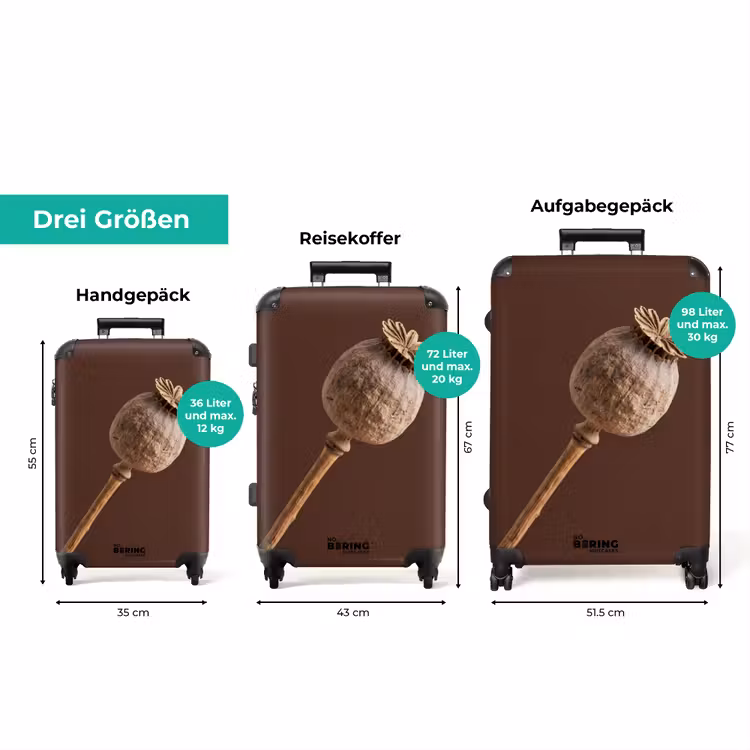 Koffer - Mohnblume – Trockenblume – Braun – Minimalistisch — 3