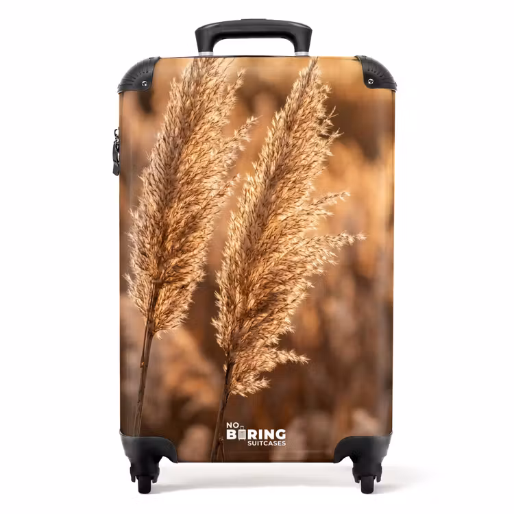 Koffer - Schilfhalme – Gras – Sonnenuntergang – Gold – Gelassenheit — 1