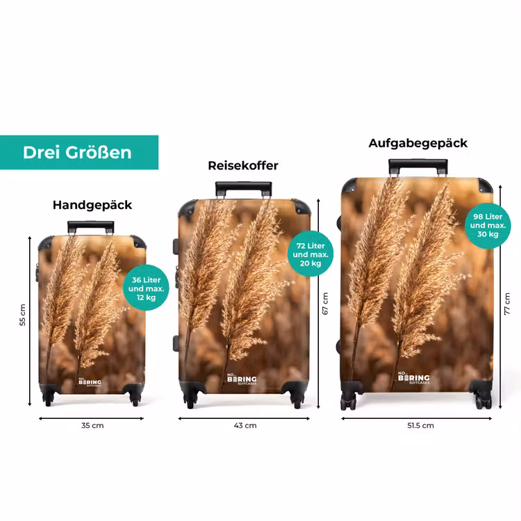 Koffer - Schilfhalme – Gras – Sonnenuntergang – Gold – Gelassenheit — 3